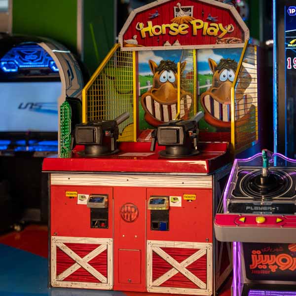 شلیک به دندون اسب | Horse Play